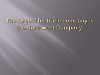 The largest fur trade company is the Northwest Company. 