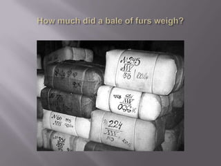 How much did a bale of furs weigh?