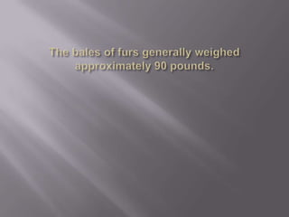 The bales of furs generally weighed approximately 90 pounds. 
