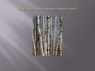 What were the canoes made from?