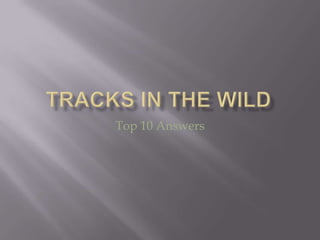 Tracks in the Wild Top 10 Answers 