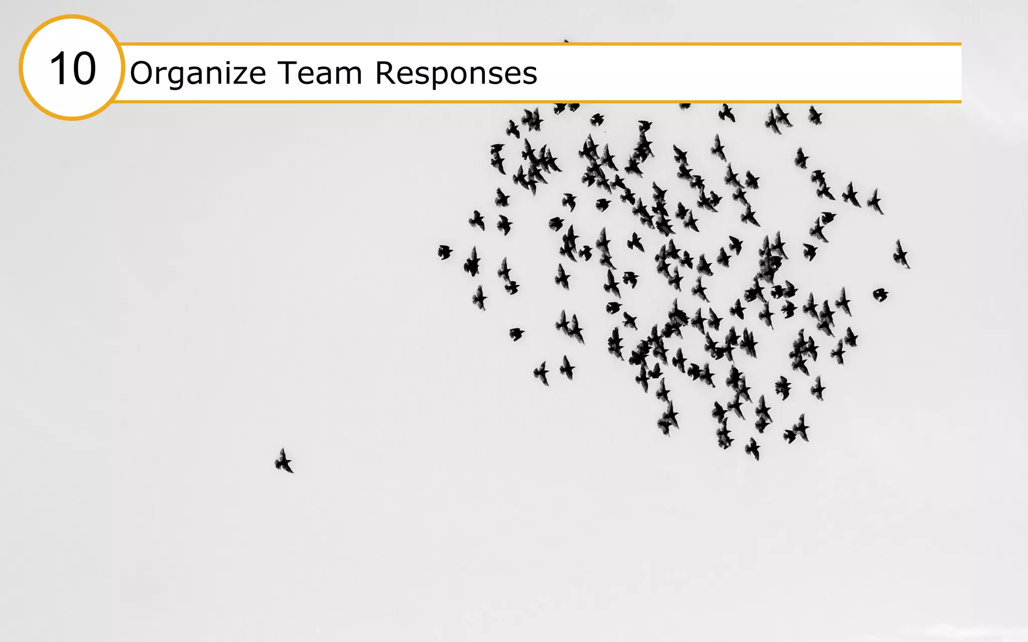 51
#10 Organize team responses#1 Organize Team Responses10
 
