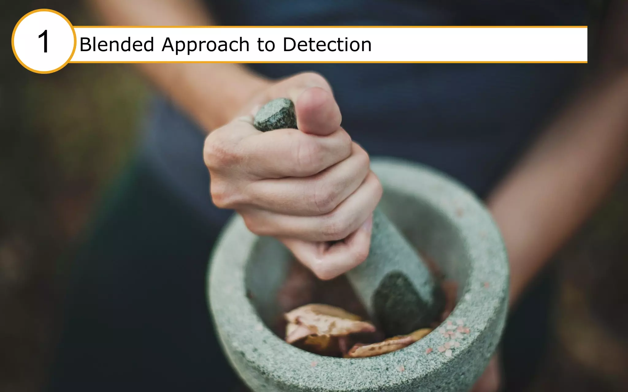 9
#1 Blended approach to Detection#1 Blended Approach to Detection1
 