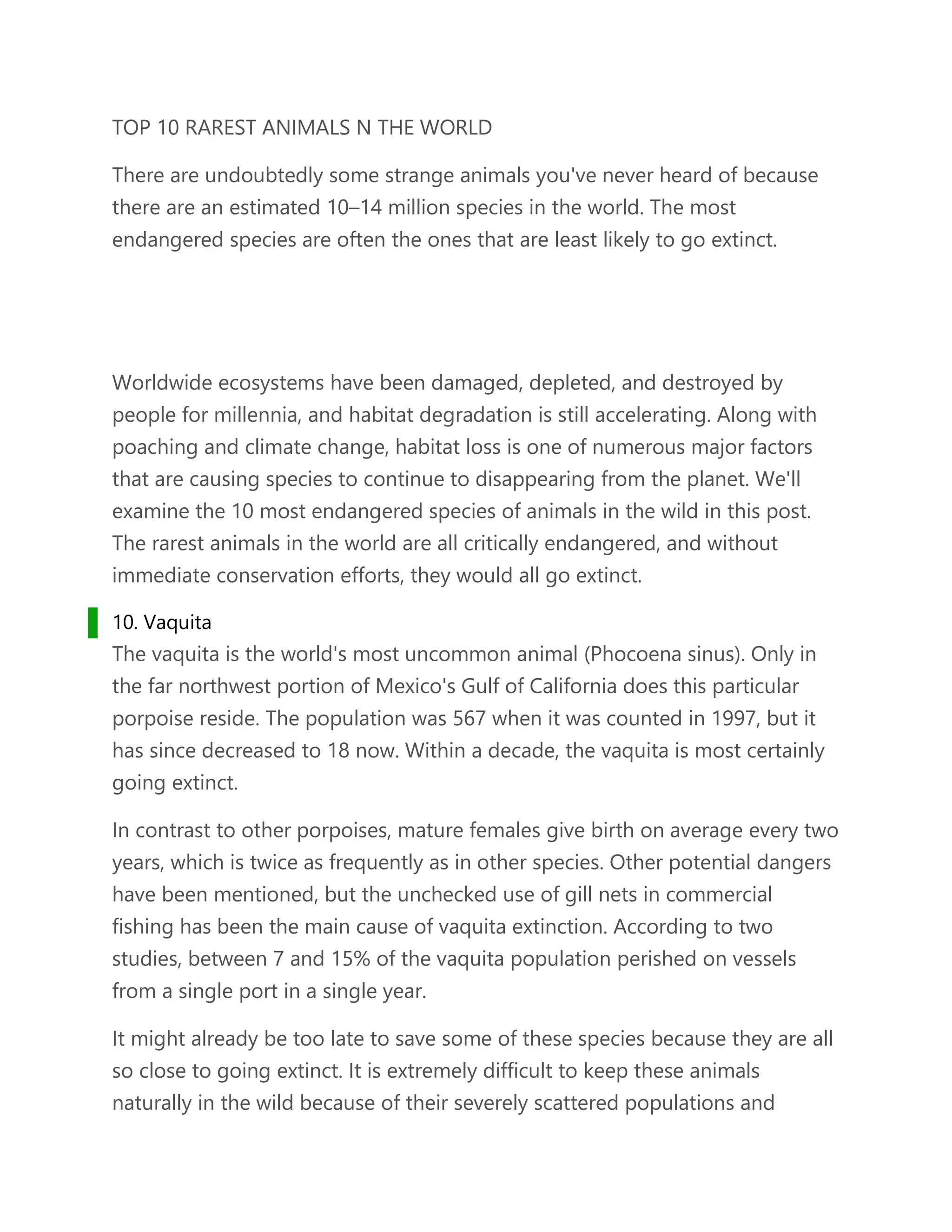 TOP 10 RAREST ANIMALS N THE WORLD.docx