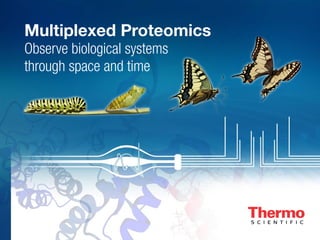 Multiplexed Proteomics
Observe biological systems
through space and time
 