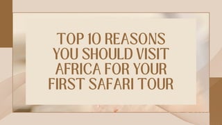 TOP 10 REASONS
YOU SHOULD VISIT
AFRICA FOR YOUR
FIRST SAFARI TOUR
 