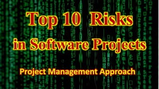 Top 10 Risks
in Software Projects
Project Management Approach
 