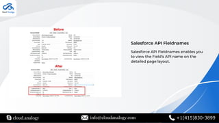 cloud.analogy info@cloudanalogy.com +1(415)830-3899
Salesforce API Fieldnames
Salesforce API Fieldnames enables you
to view the Field’s API name on the
detailed page layout.
 