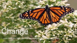 Change
Image Credit: Mike Baird - http://www.flickr.com/photos/72825507@N00/323625842