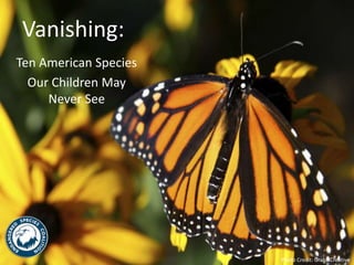 Vanishing: 
Ten American Species 
Our Children May 
Never See 
Photo Credit: GrabillCreative 
 
