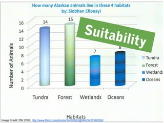 Suitability
Image Credit: DW 2002, http://www.flickr.com/photos/34005963@N04/5451586006/
 