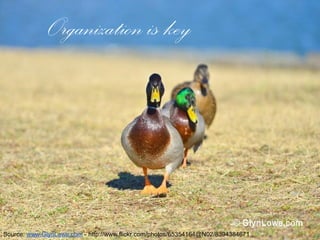 Organization is key
Source: www.GlynLowe.com - http://www.flickr.com/photos/65354164@N02/8394384671
 