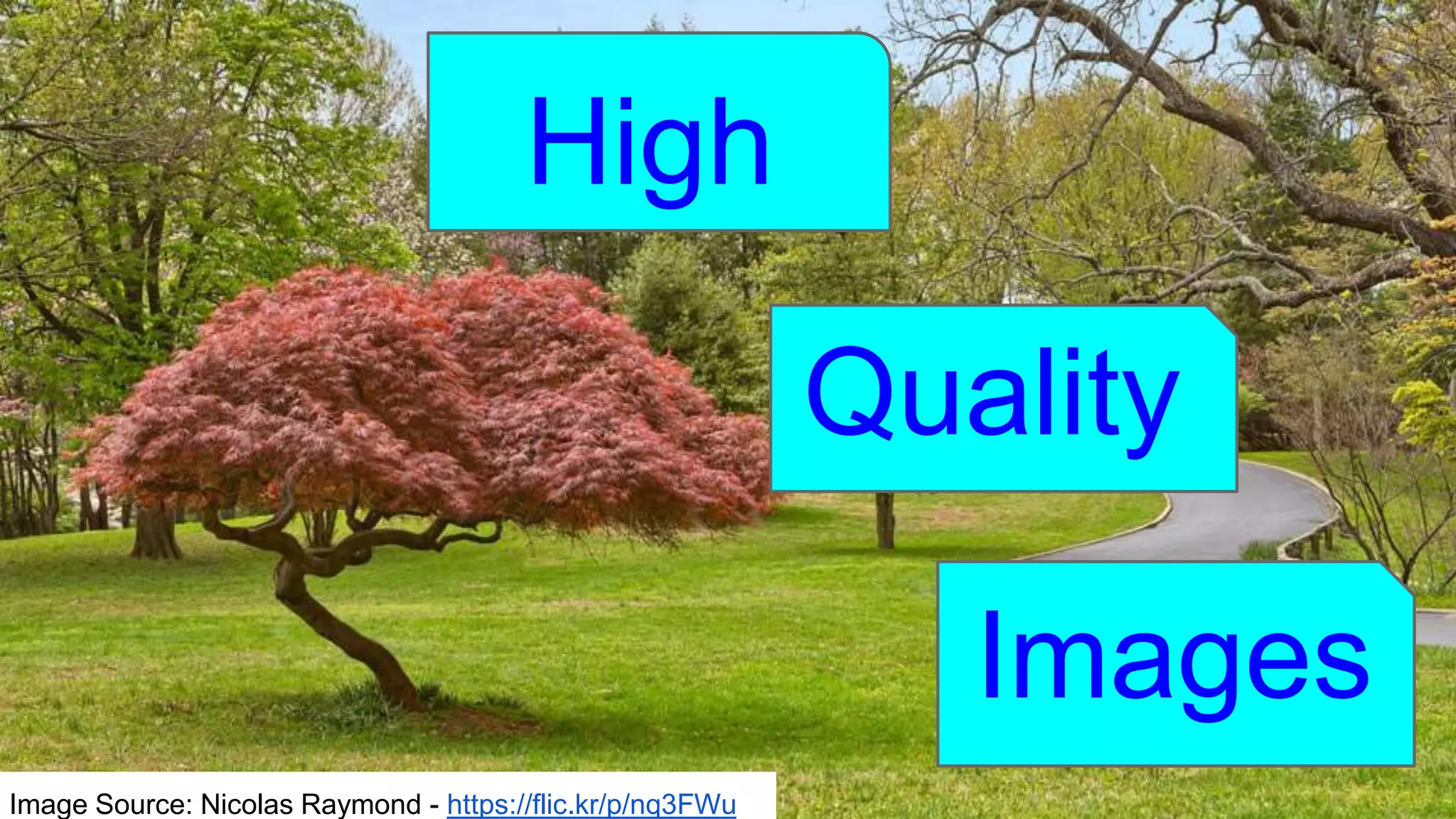 High
Quality
Images
Image Source: Nicolas Raymond - https://flic.kr/p/nq3FWu