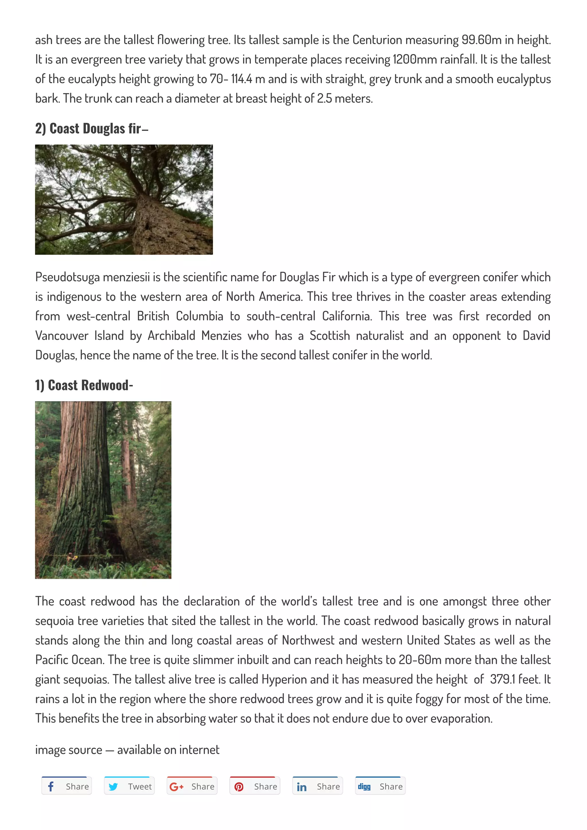 Top 10 tallest trees in the world | PDF