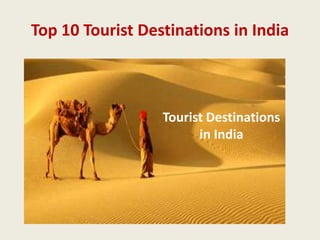 Top 10 Tourist Destinations in India

Tourist Destinations
in India

 
