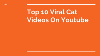 Top 10 Viral Cat
Videos On Youtube
 