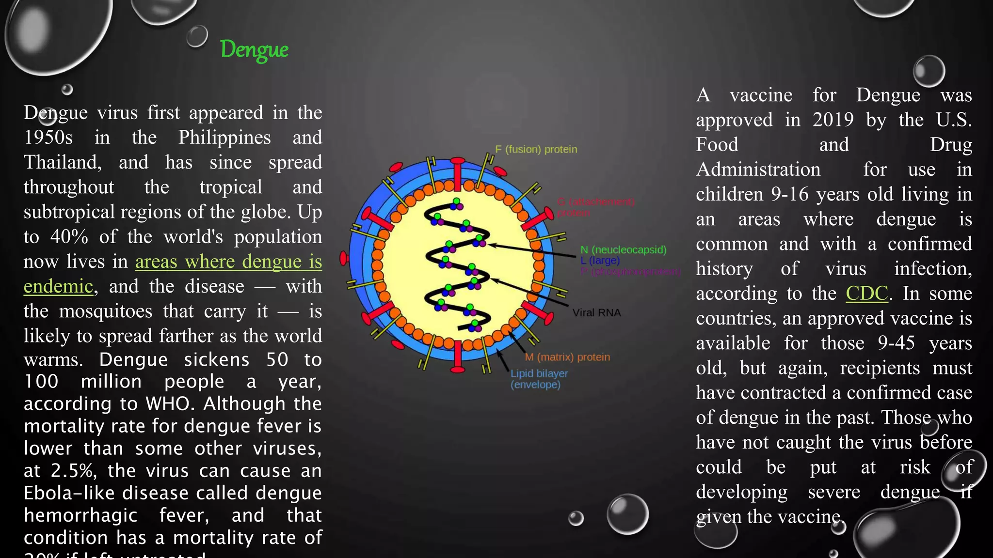 Dengue virus first appeared in the
1950s in the Philippines and
Thailand, and has since spread
throughout the tropical and
subtropical regions of the globe. Up
to 40% of the world's population
now lives in areas where dengue is
endemic, and the disease — with
the mosquitoes that carry it — is
likely to spread farther as the world
warms. Dengue sickens 50 to
100 million people a year,
according to WHO. Although the
mortality rate for dengue fever is
lower than some other viruses,
at 2.5%, the virus can cause an
Ebola-like disease called dengue
hemorrhagic fever, and that
condition has a mortality rate of
A vaccine for Dengue was
approved in 2019 by the U.S.
Food and Drug
Administration for use in
children 9-16 years old living in
an areas where dengue is
common and with a confirmed
history of virus infection,
according to the CDC. In some
countries, an approved vaccine is
available for those 9-45 years
old, but again, recipients must
have contracted a confirmed case
of dengue in the past. Those who
have not caught the virus before
could be put at risk of
developing severe dengue if
given the vaccine.
Dengue
 