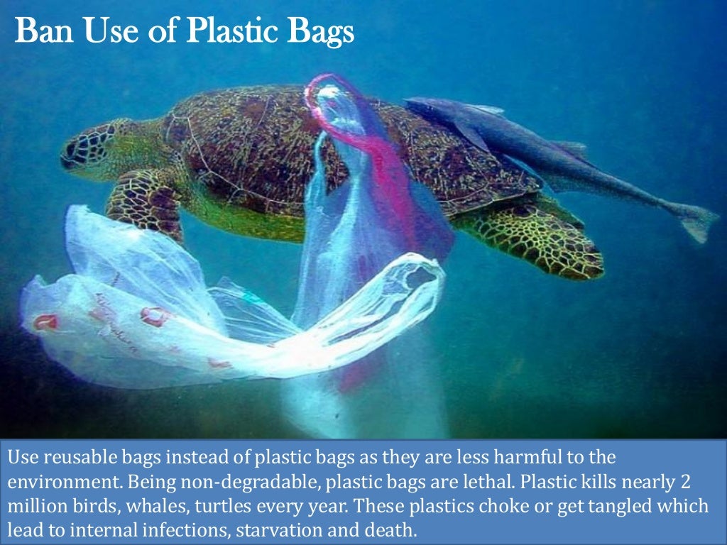 Ban Use of Plastic Bags
