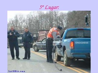 5º Lugar: