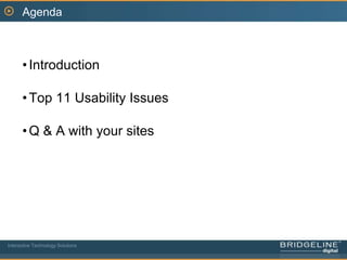 AgendaIntroductionTop 11 Usability IssuesQ & A with your sitesInteractive Technology Solutions