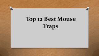 Top 12 Best Mouse
Traps
 