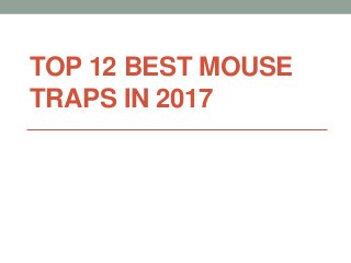 TOP 12 BEST MOUSE
TRAPS IN 2017
 