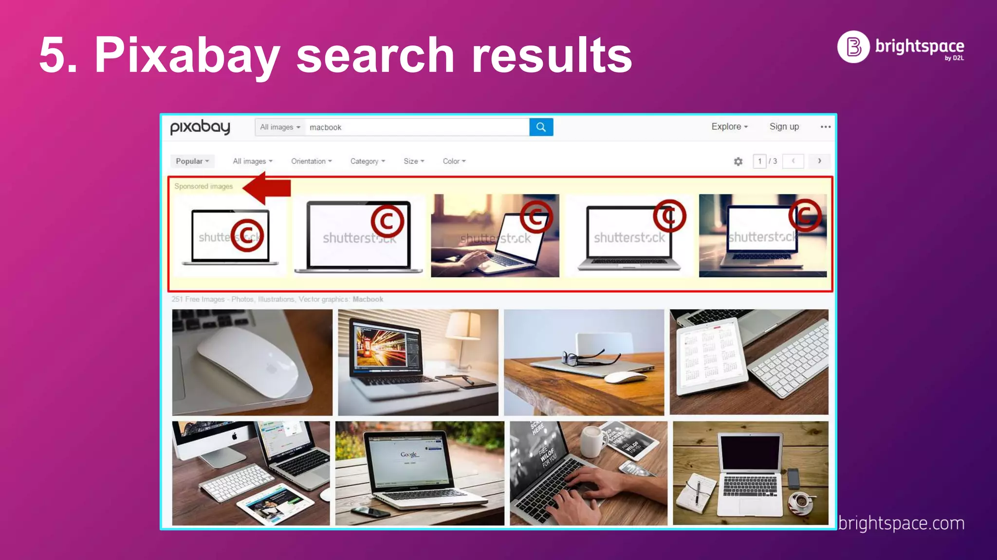 5. Pixabay search results
 