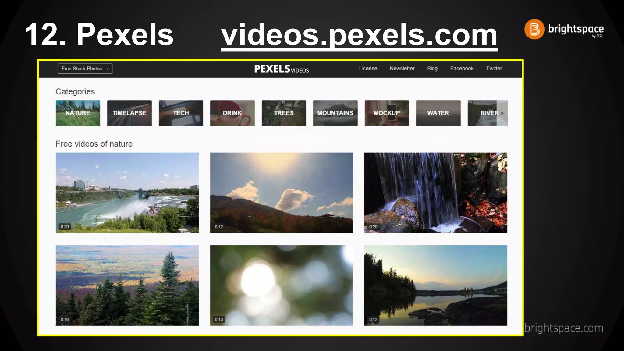 12. Pexels videos.pexels.com
 