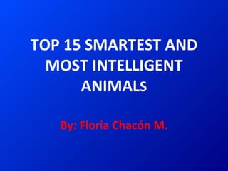 TOP 15 SMARTEST AND MOST INTELLIGENT ANIMAL S By: Floria Chacón M. 