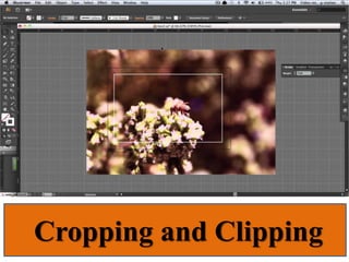 Cropping and Clipping
 