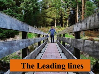 The Leading lines
 