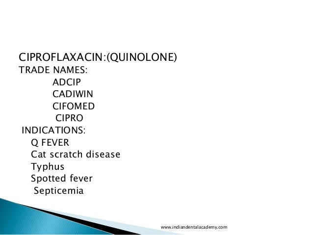 Cat Scratch Antibiotic Prophylaxis Cat Scratch Antibiotic Prophylaxis