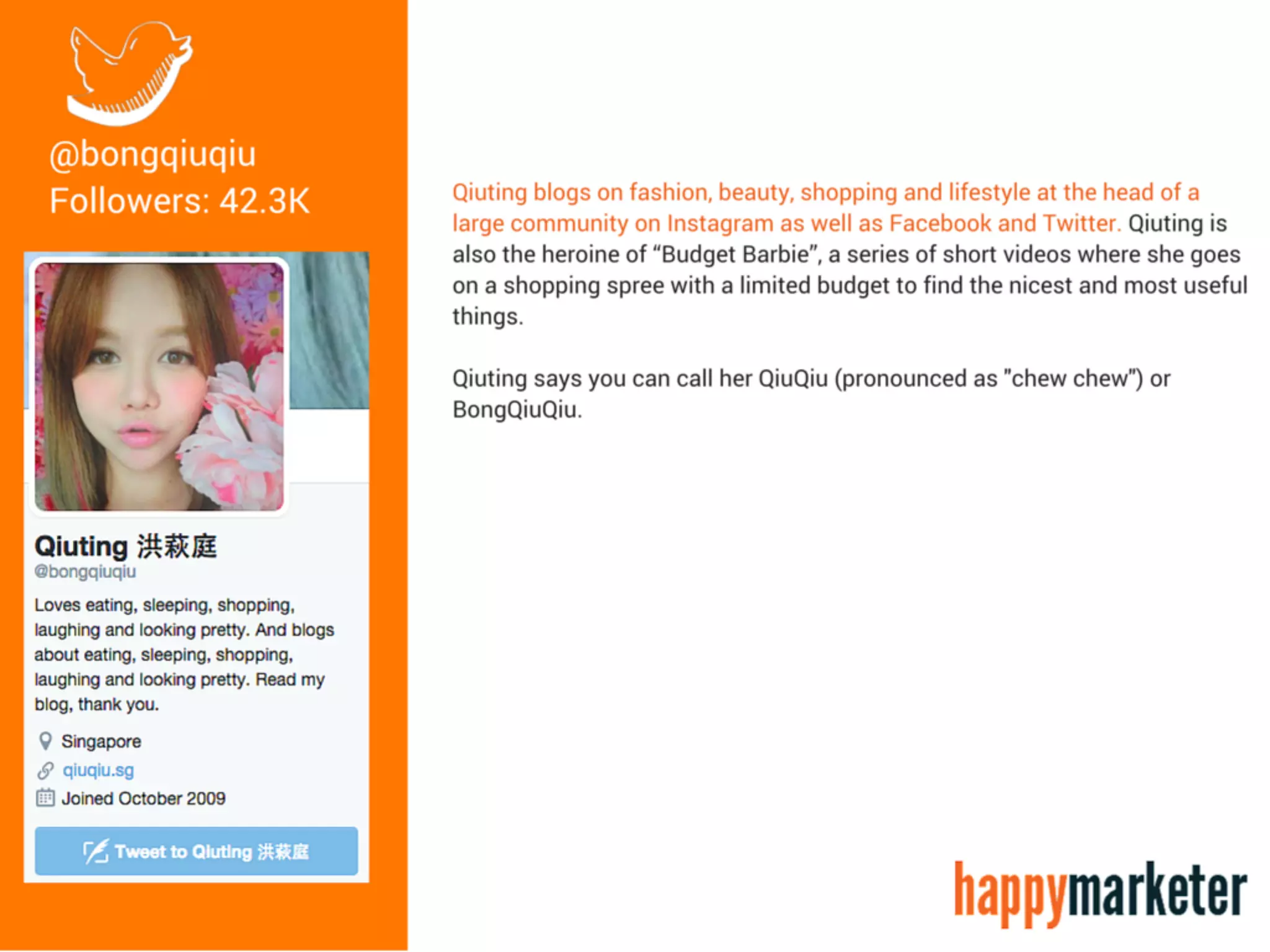 Top 20 Twitter Influencers In Singapore