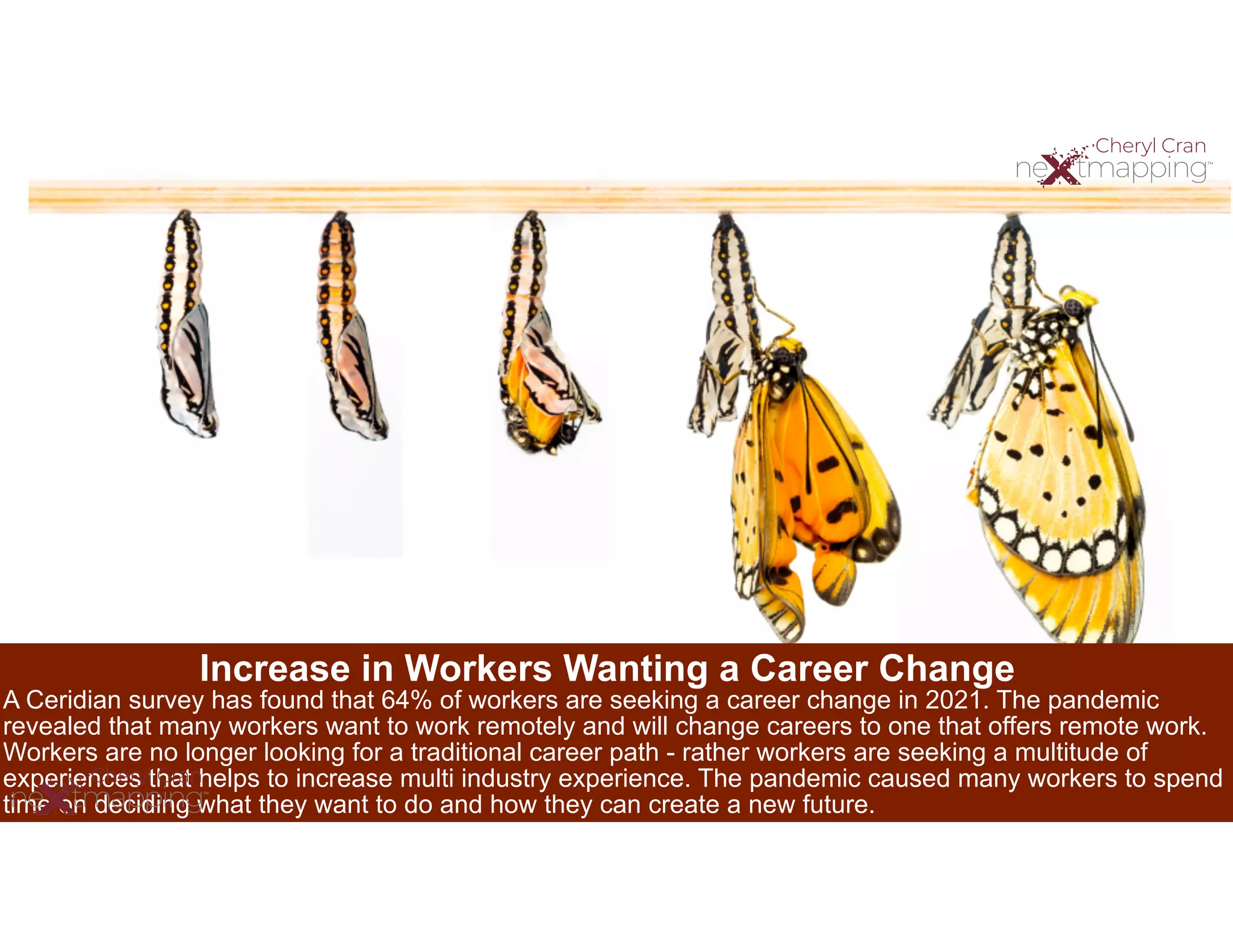 Increase in Workers Wanting a Career Change
A Ceridian survey has found that 64% of workers are seeking a career change in 2021. The pandemic
revealed that many workers want to work remotely and will change careers to one that offers remote work.
Workers are no longer looking for a traditional career path - rather workers are seeking a multitude of
experiences that helps to increase multi industry experience. The pandemic caused many workers to spend
time on deciding what they want to do and how they can create a new future.
 