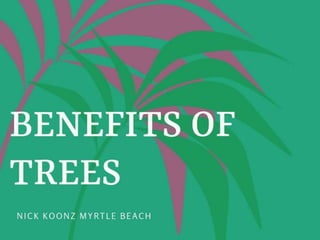 Nick Koonz Myrtle Beach: Top Benefits of Trees