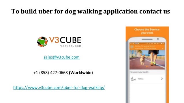 Top 3 dog walking service apps