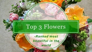 Top 3 Flowers
-Ranked most
beautiful in the
world
 