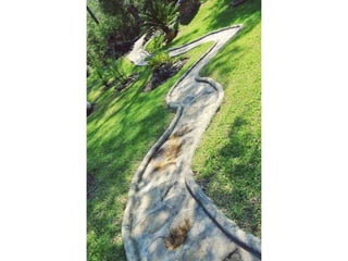 Top40photographs 150423061349-conversion-gate02