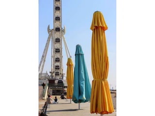 Top40photographs 150423061349-conversion-gate02