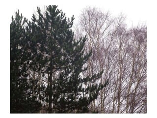 Top40photographs 150423061349-conversion-gate02