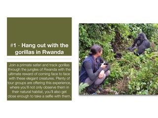 #1 - Hang out with the
gorillas in Rwanda
Join a primate safari and track gorillas
through the jungles of Rwanda with the
ultimate reward of coming face to face
with these elegant creatures. Plenty of
tour groups are offering this experience,
where you’ll not only observe them in
their natural habitat, you’ll also get
close enough to take a selﬁe with them.
 