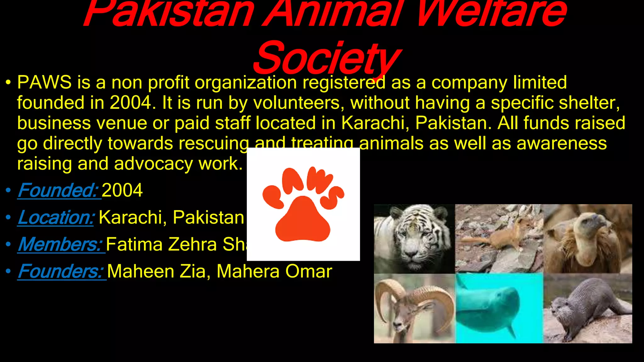 Top 5 animal protection organizations