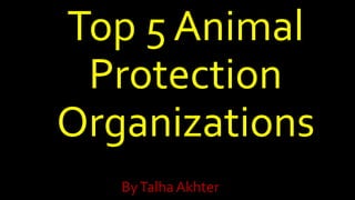 Top 5 Animal
Protection
Organizations
ByTalha Akhter
 