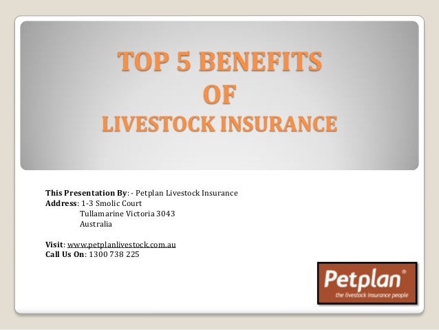 Top 5 Benefits Of Livestock Insurance