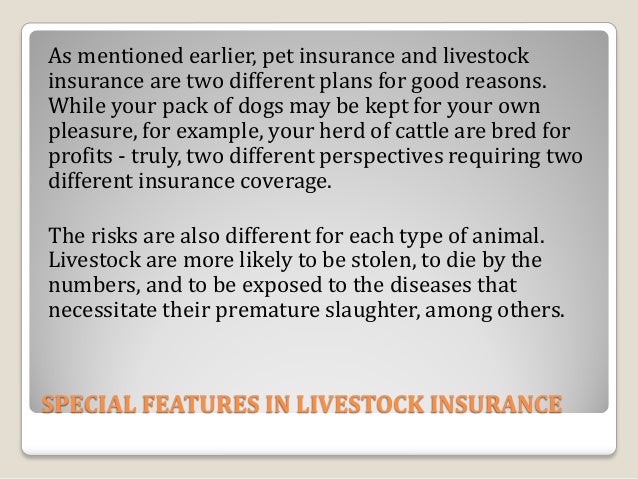 Top 5 Benefits Of Livestock Insurance