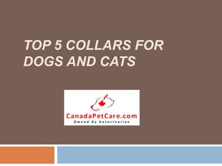 TOP 5 COLLARS FOR
DOGS AND CATS
 