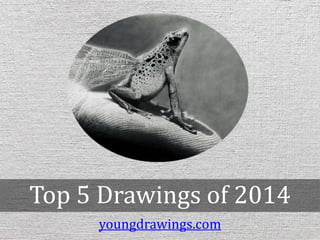 Top 5 Drawings of 2014
youngdrawings.com
 