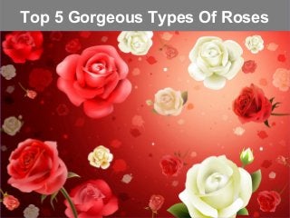 Top 5 Gorgeous Types Of Roses
 