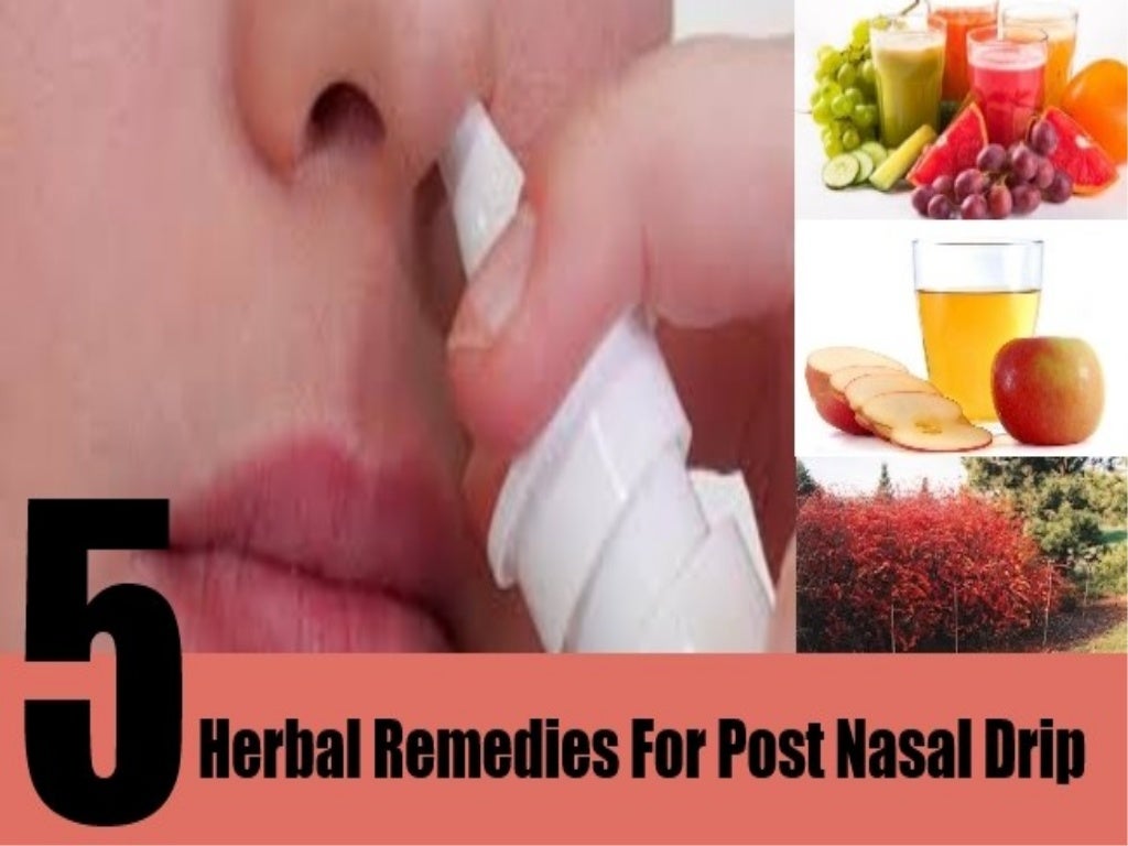 Top 5 Herbal Remedies For Post Nasal Drip