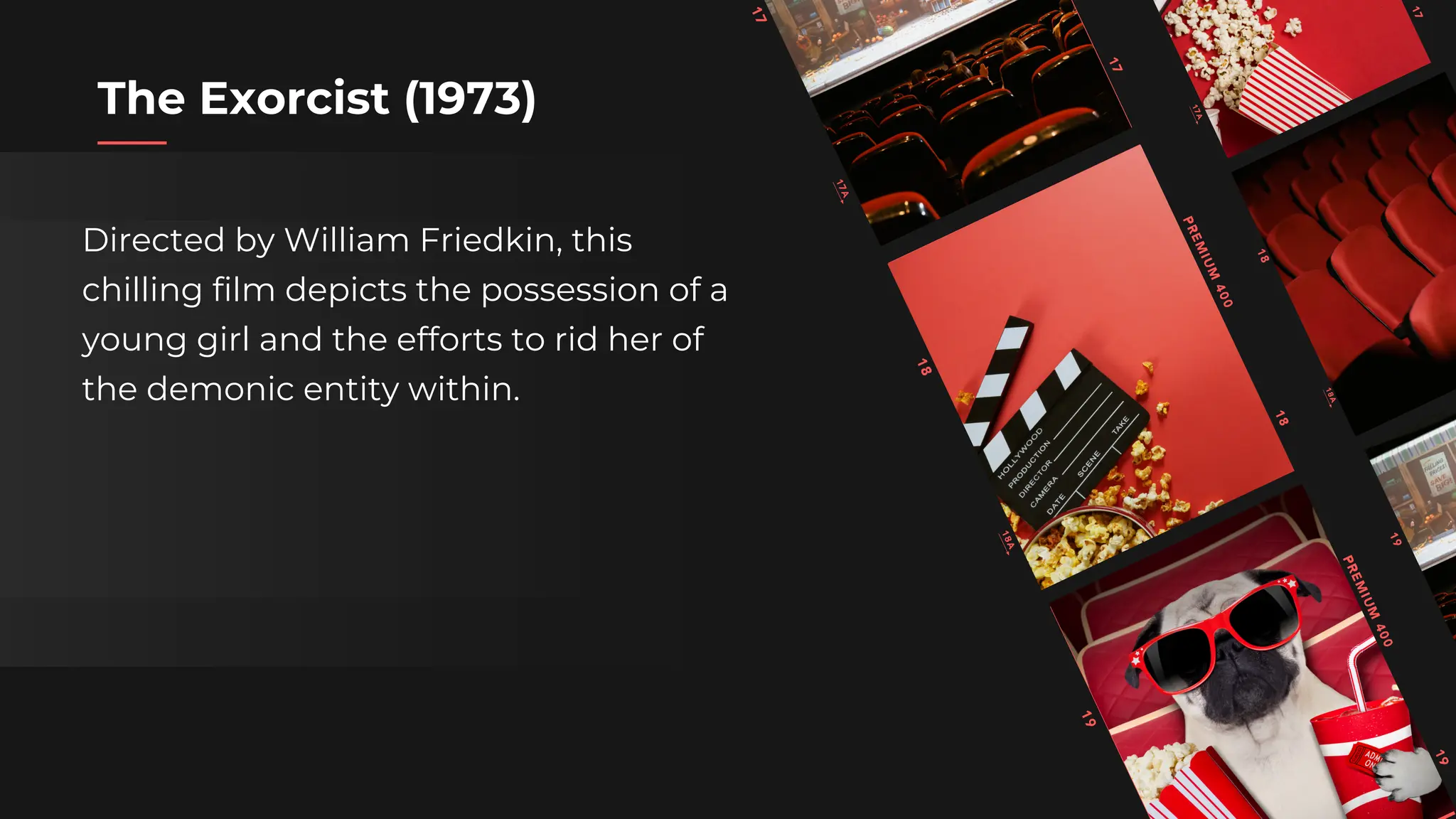 top 5 horror movie.pdf